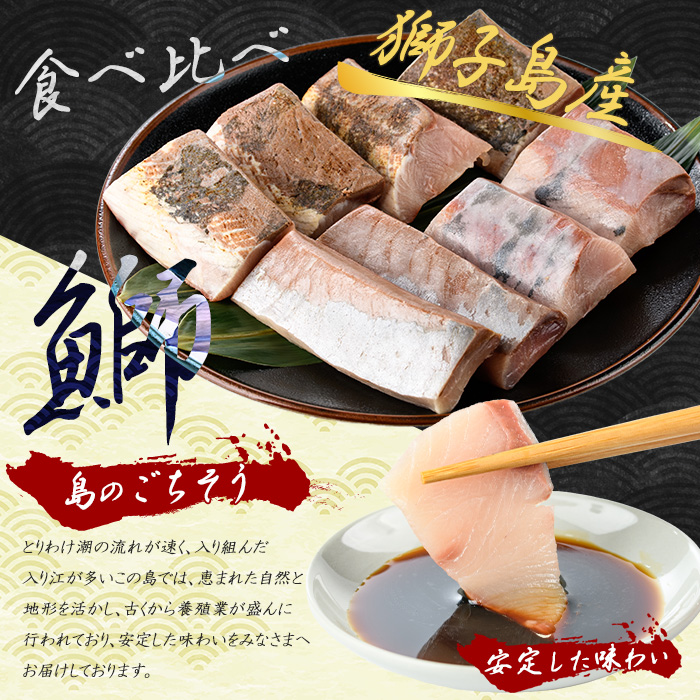 獅子島産 百年漁師の鰤 お刺身＆炙り刺身食べ比べ (各約150g×4パック) 計8P【島のごちそう】_gochi-7046R8