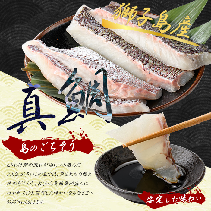 獅子島産 百年漁師の真鯛 皮付きロイン4パック (1匹分) 【島のごちそう】_gochi-7052R8