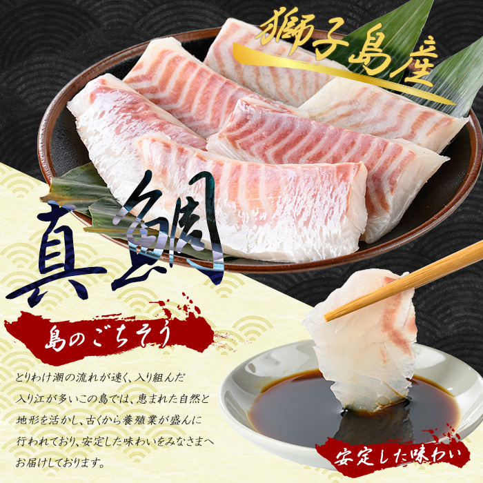 獅子島産 百年漁師の真鯛 お刺身用サク (約100g×6パック) 【島のごちそう】_gochi-7053