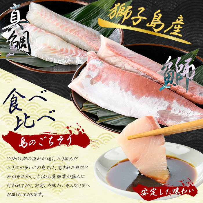 獅子島産 百年漁師の鰤と真鯛 食べ比べスキンレスロイン各2パック (半身分) 【島のごちそう】_gochi-7058R8