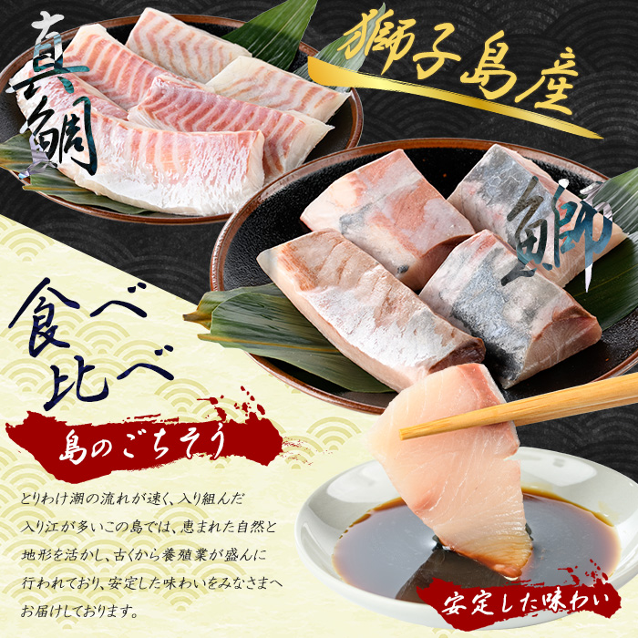 獅子島産 百年漁師の鰤 (約150g×4P) と真鯛 (約100g×6P) お刺身用サク食べ比べ【島のごちそう】_gochi-7059R8