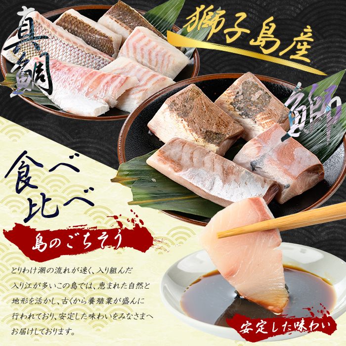 百年漁師の海産物 詰め合わせ【島のごちそう】_gochi-7061R8