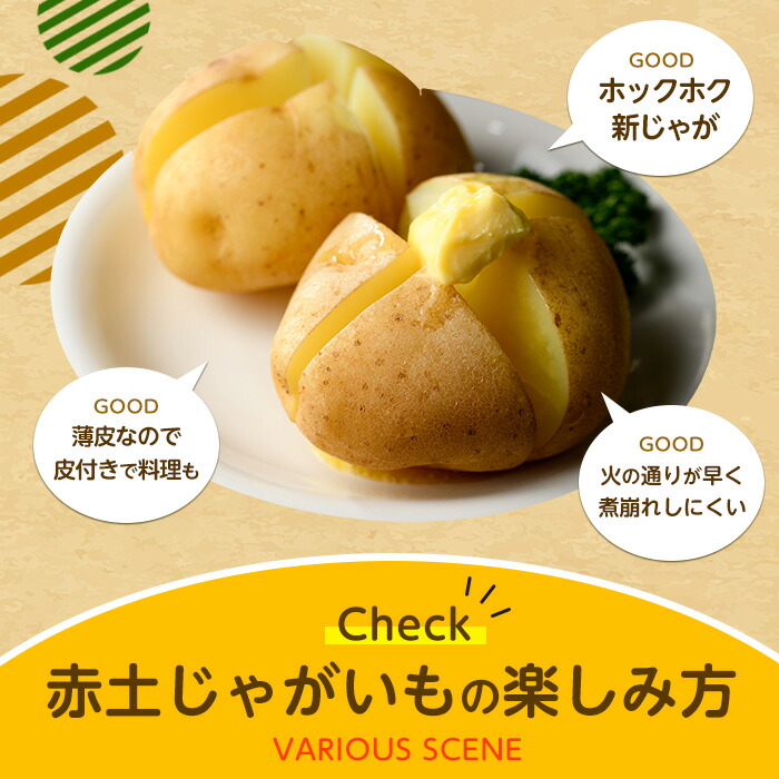 【先行予約】＜数量・期間限定＞ホックホク甘さがある伊唐産早春じゃがいも(約10kg)【旬感foods】_horino-7076