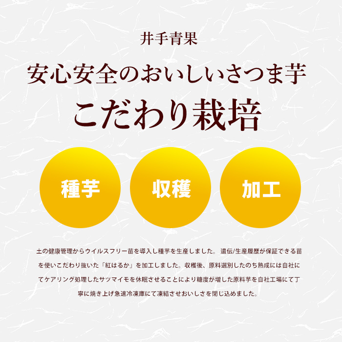 井手青果の熟成紅はるか干し芋 計400g (100g×4袋) 熟成 紅はるか 干し芋 濃厚な甘み【井手青果】_ide-7083