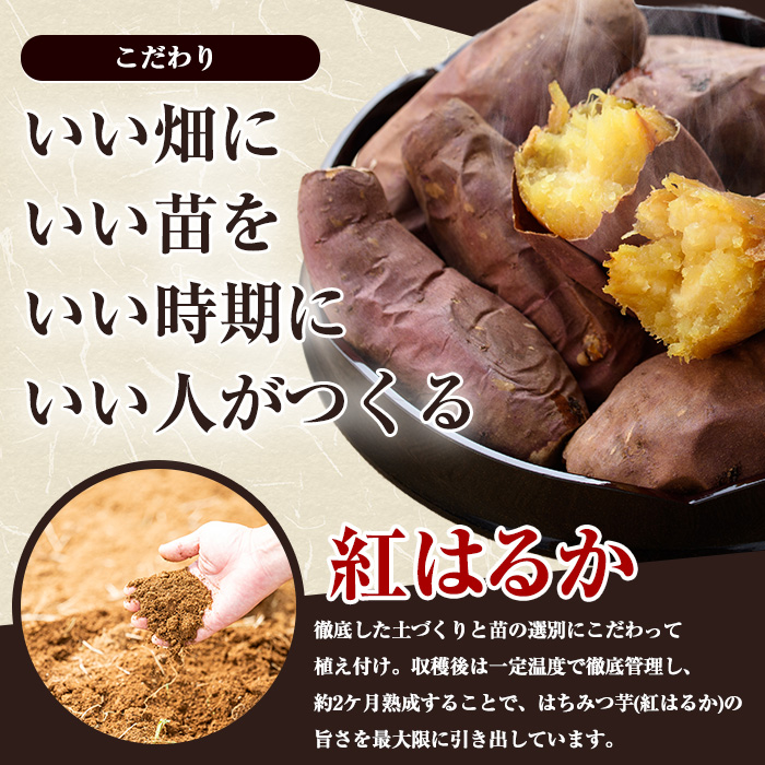 《先行予約》〈数量限定〉和喜雄さんといつみさんのはちみつ芋(計3kg)【飯尾和喜雄農園】_iio-7086