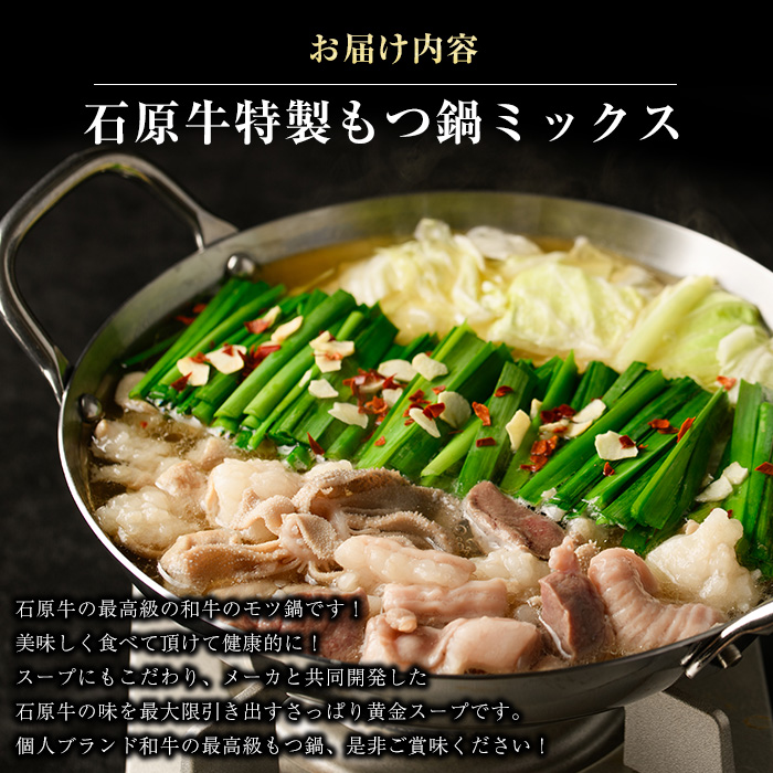 石原牛 特製もつ鍋ミックスセット 4人前 (2人前×2) 石原牛 国産 牛 ウシ 牛肉 もつ鍋 モツ鍋 もつなべ 牛もつ鍋 鍋 鍋セット ちゃんぽん麺 スープ 冷凍【石原PRO】_ishihara-7097