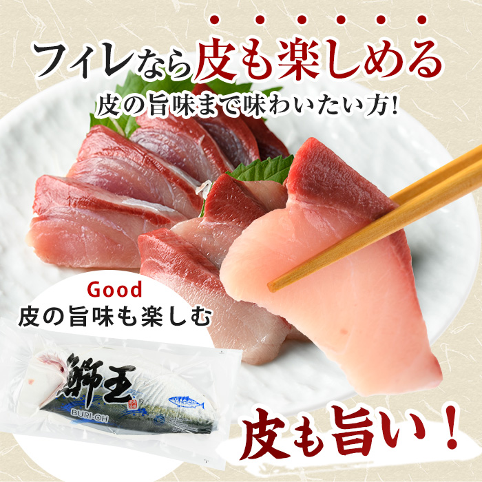 『旅サラダ』で紹介ぶりの王様「 鰤王 」 フィレ 半身 (約1.2～1.5kg・フィレ1枚) 産地直送 新鮮 旨味が抜群の 長島町 特産品 ブランド ぶり 鰤 ブリ 切り身 真空 冷蔵 刺身 ぶりしゃぶ しゃぶしゃぶ 魚 魚介 人気 ランキング 【JFA】_jfa-7006