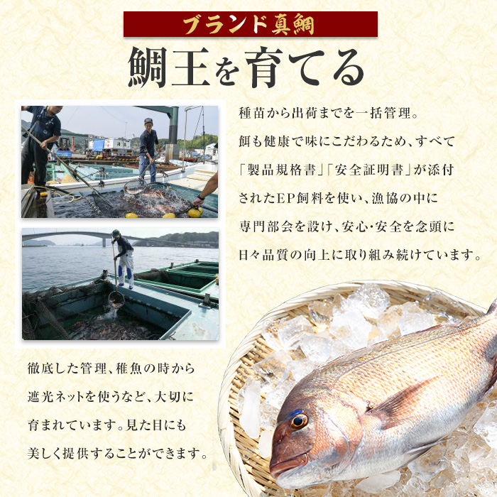 長島町特産「鯛王」スキンレスロイン 8節入り (約1.0kg) ＼カットするだけ簡単！新鮮なお刺身が楽しめる／ 産地直送 新鮮 旨味が抜群の 長島町 特産品 ブランド 刺身 鯛めし 鯛茶漬け 鯛しゃぶ 鯛刺身 鮮魚 冷蔵 【JFA】_jfa-7122