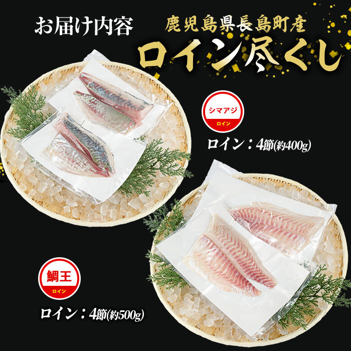 【お刺身用】ロイン2種詰め合わせ 約900g 切って盛るだけ ロイン 鯛王4節 シマアジ4節 届いてすぐに食べれる 長島町 冷蔵 ふるさと納税 【JFA】_jfa-7137