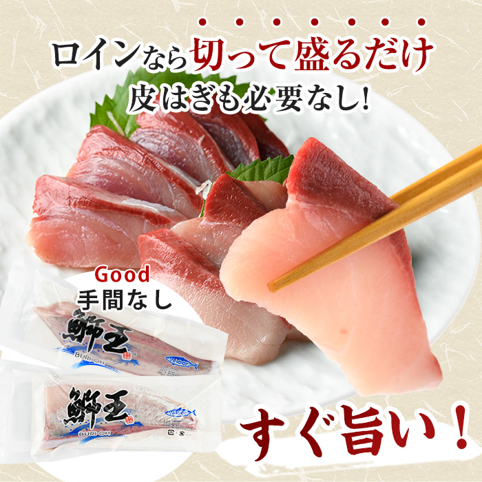 【切って盛るだけ】『旅サラダ』で紹介ぶりの王様「 鰤王 」 ロイン 2節 (約0.8kg～1.0kg) 半身 産地直送 新鮮 旨味が抜群の 長島町 特産品 ブランド ぶり 鰤 ブリ 切り身 真空 冷蔵 刺身 ぶりしゃぶ しゃぶしゃぶ 魚 魚介 人気 ランキング 【JFA】_jfa-7132