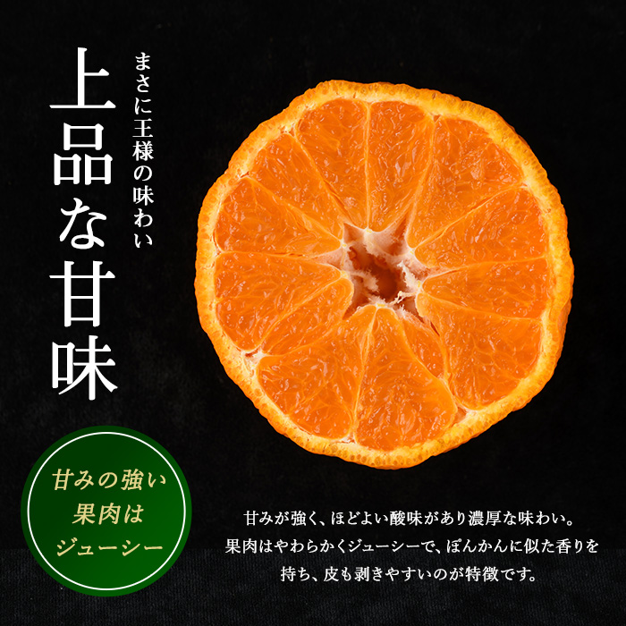 長島町産 大将季（ハウス） 贈答用 (約2.5kg) 2月中旬発送 【長島柑橘直販合同会社】_kanchoku-7160