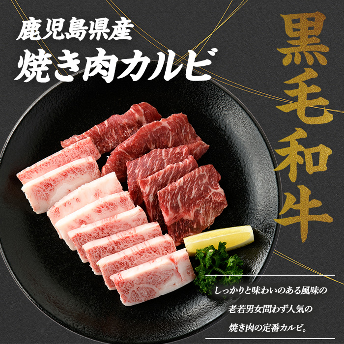 鹿児島県産黒毛和牛 食べ比べ4部位セット(計1kg) 鹿児島県産 国産 九州 長島町 牛肉 モモ カルビ ミンチ ももステーキ BBQ 焼肉【コネクトライン】_konekuto-7183