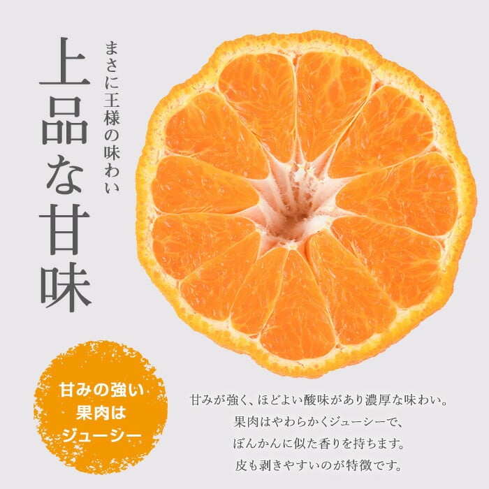ながしまマンダリン王(大将季) 約5kg【ながしまマンダリングループ】_mandarin-7198