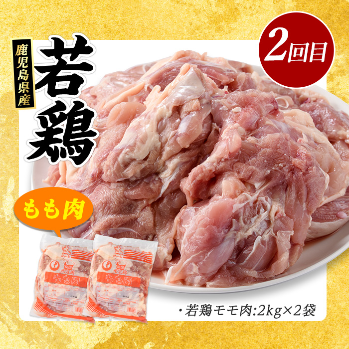 ＜定期便・毎月発送全4回＞鹿児島県産 豚小間 モモ肉 ムネ肉 ふるさと納税 豚肉 鶏肉 若鶏 ふるさと 人気 ランキング【まつぼっくり】_matu-1512