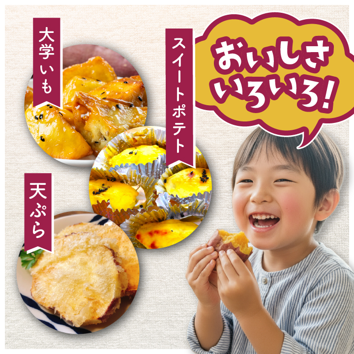 《 訳あり 》飯尾農園 熟成 紅はるか 約5kg 芋 いも さつまいも サツマイモ 鹿児島県産 国産 長島町産 べにはるか 熟成【飯尾農園】_miio-7233