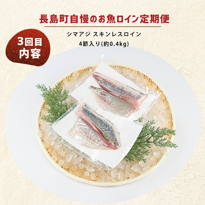 ＜定期便・毎月発送全4回＞ 長島町自慢のお魚定期便(ロイン) 全4回_nagashima-1515