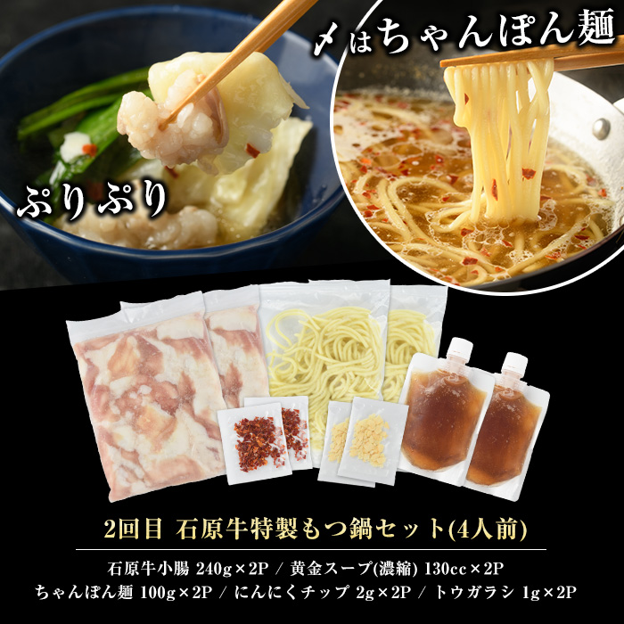 ＜定期便・毎月発送全3回＞ 石原牛の定期便【もつ食べ比べ編】 【石原PRO】_nagashima-1524