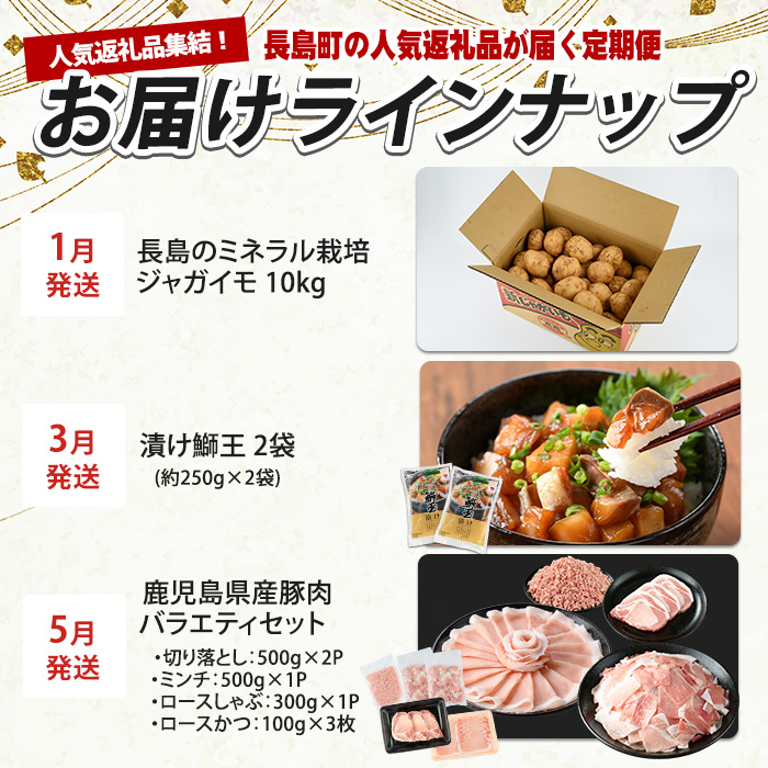 《奇数月発送全6回》全事業者 長島町スペシャル定期便 _nagashima-1538