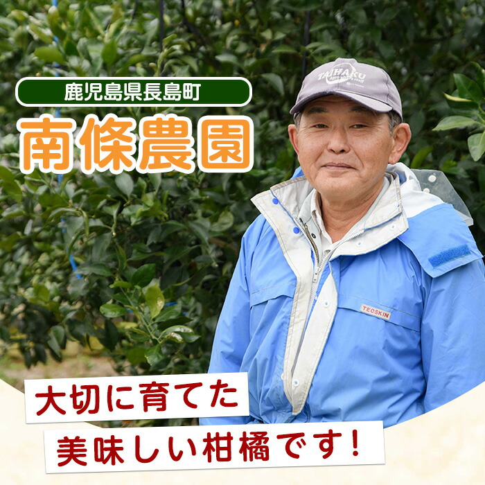 【先行予約】紅 不知火 (3L・2L) 約3kg しらぬい みかん ミカン 蜜柑 柑橘 果物 くだもの フルーツ 【南條農園】_nannjyo-7260