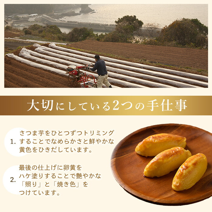 ＜定期便・2ヶ月毎発送全3回＞鹿児島県産さつまいも使用 ロイヤルのスイートポテト(9個)  スイートポテト 鹿児島 さつまいも菓子 スイーツ お菓子 おやつ 【ロイヤル】_royal-1517