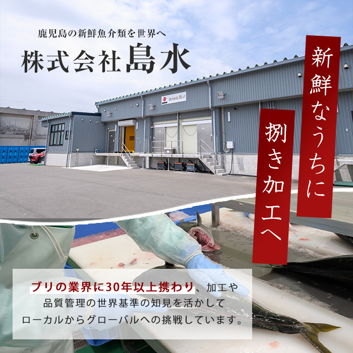 【先行予約】【皮なし】鰤の切り身（約1.0kg）【株式会社島水】_shimasui-7290