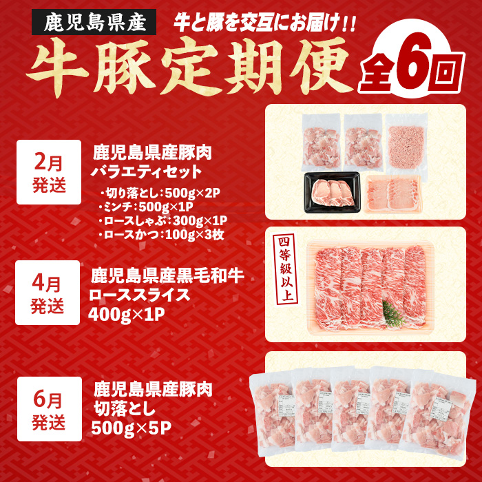 ＜定期便全6回＞黒毛和牛＆豚肉定期便 総重量8.4kg超 赤身 ロース 豚 ミンチ ロースかつ 豚肉 牛肉 切り落とし サーロイン 豚ロース しゃぶしゃぶ すき焼き 【スターゼン】_starzen-1535