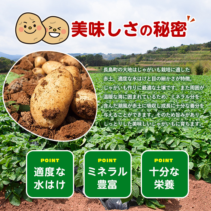 《早春:2月中旬より発送》いから島産赤土じゃがいも10kg【高橋農園】takahashi-7310