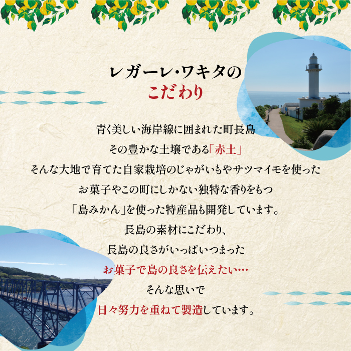 長島むすめいもパイ(10個)【レガーレ・ワキタ】_waki-7335