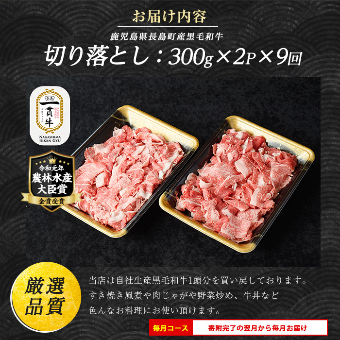 《定期便・毎月全9回》宮路ファームの黒毛和牛切り落とし(300g×2パック) 鹿児島県産 切り落とし 牛肉 すき焼き パック詰め 肉じゃが 牛丼 野菜炒め 農林水産大臣賞 肉 しゃぶしゃぶ 国産黒毛和牛 焼肉 定期便【宮路ファーム】_f-miyaji-1389-09R7