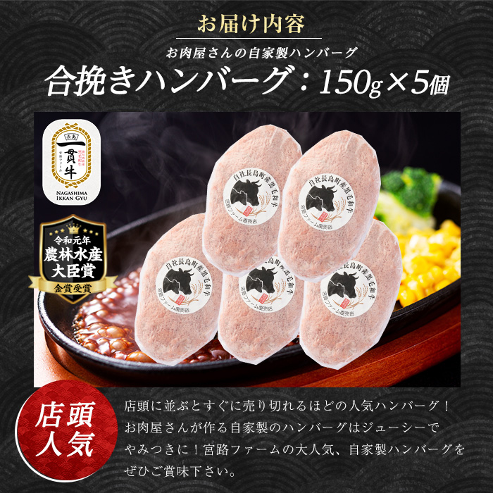 鹿児島県産合挽き肉使用 自家製ハンバーグ計5個(1個150g)【宮路ファーム】_f-miyaji-7024