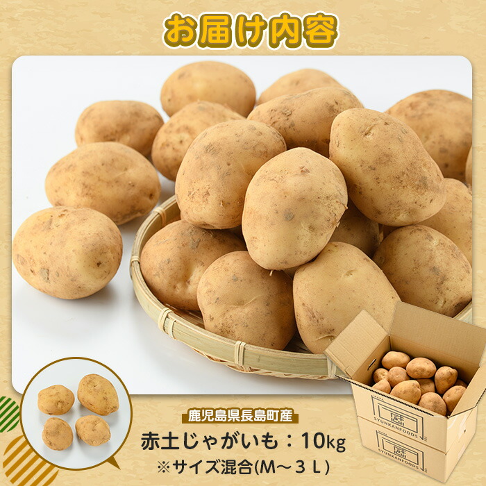 【先行予約】＜数量・期間限定＞ホックホク甘さがある伊唐産早春じゃがいも(約10kg)【旬感foods】_horino-7076