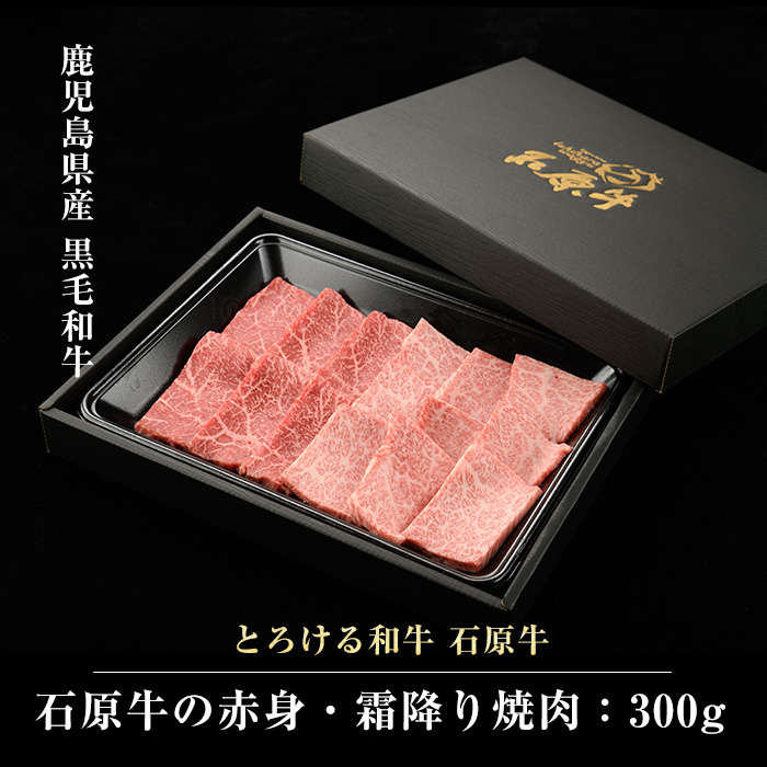 石原牛の赤身・霜降り焼肉セット(300g) 石原牛 焼肉用 霜降 ハーフ 国産 牛 ウシ 牛肉 焼肉 BBQ バーベキュー ビーフ 冷凍【石原PRO】_ishihara-7091
