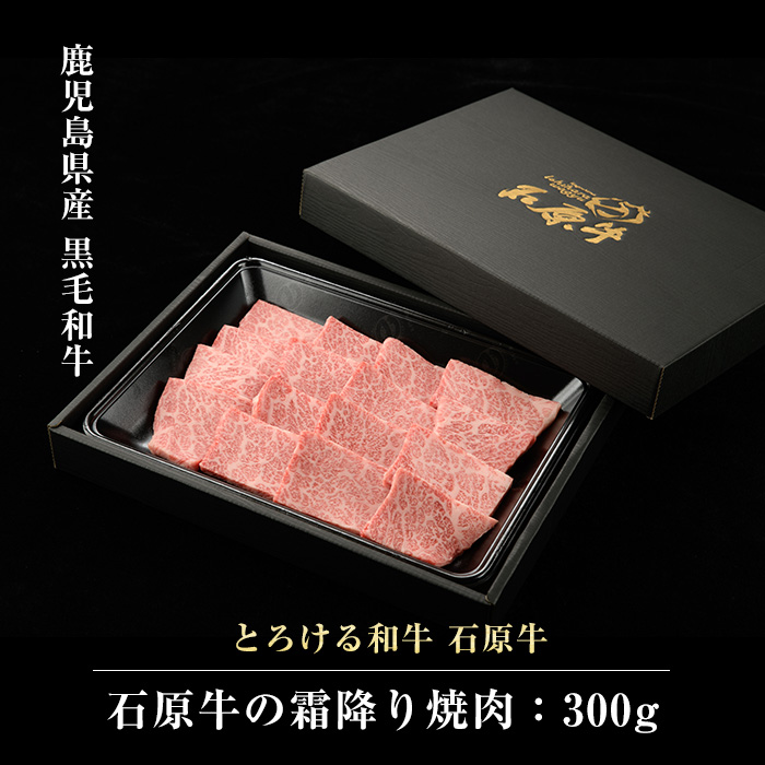 石原牛の霜降り焼肉セット(300g) 石原牛 焼肉用 霜降 国産 牛 ウシ 牛肉 焼肉 BBQ バーベキュー ビーフ 冷凍【石原PRO】_ishihara-7093