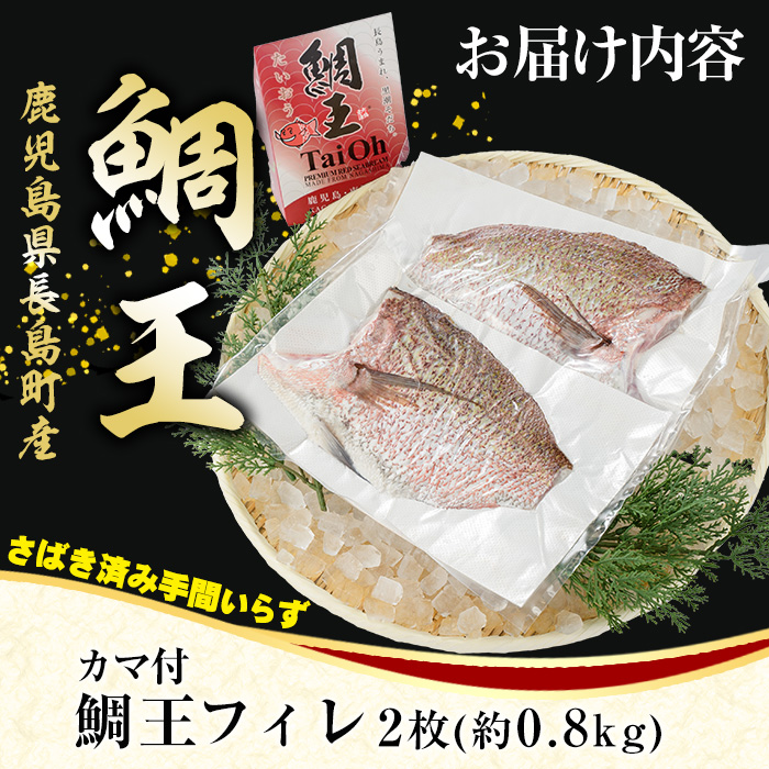長島町特産「鯛王」 フィレ 半身 2枚入り カマ付 (約0.8kg) 産地直送 新鮮 旨味が抜群の 長島町 特産品 ブランド 刺身 鯛めし 鯛茶漬け 鯛しゃぶ 鯛刺身 鮮魚 冷蔵 【JFA】_jfa-7118