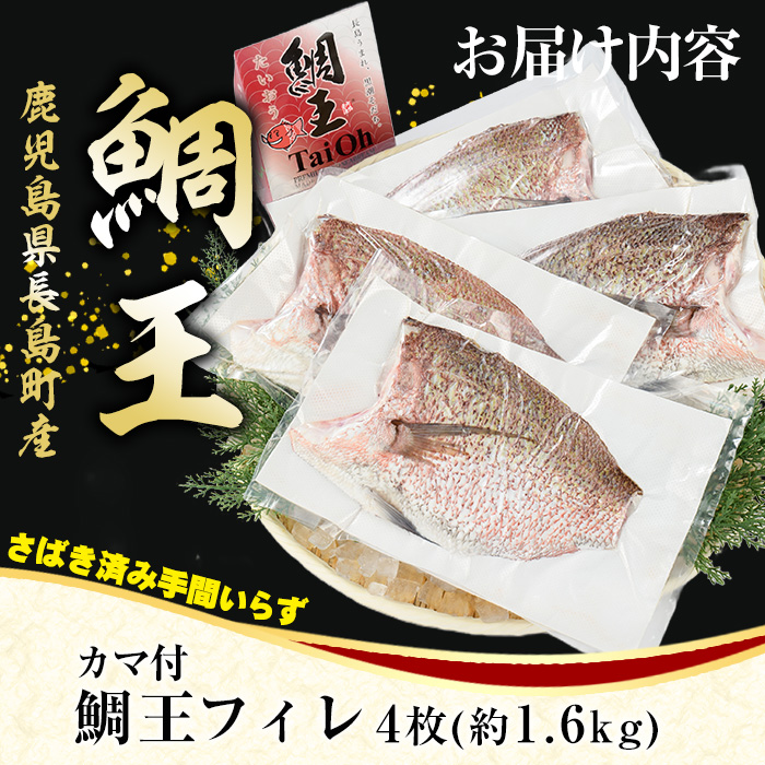 長島町特産「鯛王」 フィレ 半身 4枚入り カマ付 (約1.6kg) 産地直送 新鮮 旨味が抜群の 長島町 特産品 ブランド 刺身 鯛めし 鯛茶漬け 鯛しゃぶ 鯛刺身 鮮魚 冷蔵 【JFA】_jfa-7119