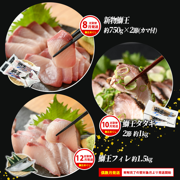 ＜定期便・2ヶ月毎 全6回＞ 鰤づくしの定期便 長島町特産「鰤王」新物鰤 ロイン フィレ 鰤カツ 漬け鰤 あら煮 鰤王タタキ 国産 鹿児島県産 産地直送【JFA】_jfa-1388B