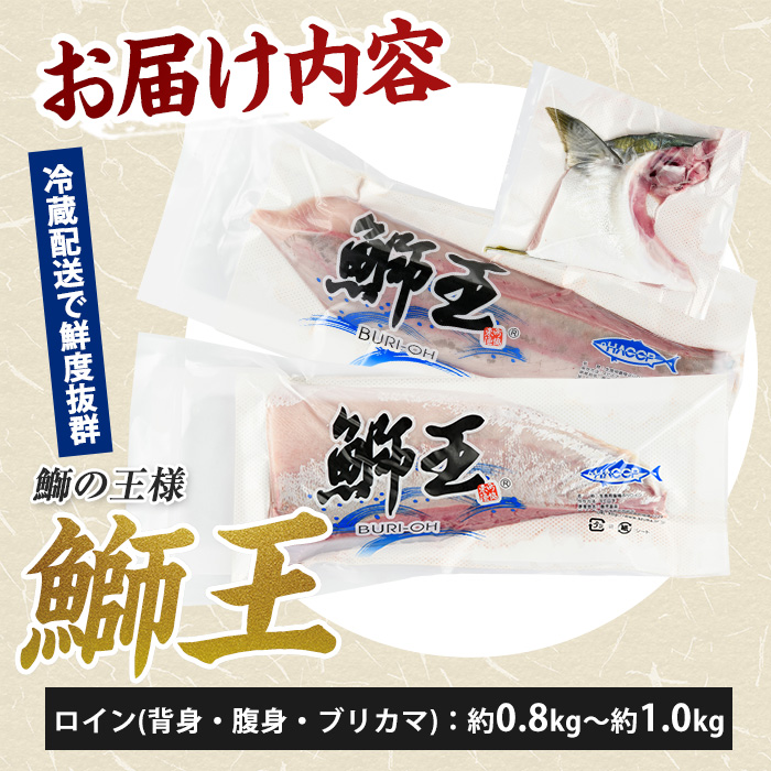 【切って盛るだけ】『旅サラダ』で紹介ぶりの王様「 鰤王 」 ロイン 2節 (約0.8kg～1.0kg) 半身 産地直送 新鮮 旨味が抜群の 長島町 特産品 ブランド ぶり 鰤 ブリ 切り身 真空 冷蔵 刺身 ぶりしゃぶ しゃぶしゃぶ 魚 魚介 人気 ランキング 【JFA】_jfa-7132