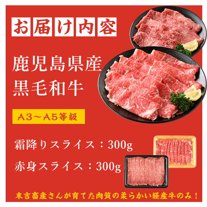 鹿児島県産黒毛和牛 霜降りスライス300g × 赤身スライス300g (計600g) 鹿児島県産 国産 九州 長島町 鹿児島県産肉 モモ モモ肉 ローストビーフ 牛肉 牛 和牛【コネクトライン】_konekuto-7182