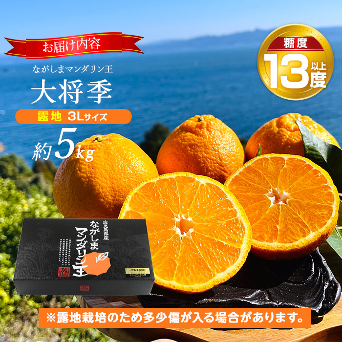 【先行予約】ながしまマンダリン王【露地】(大将季) 約5kg【ながしまマンダリングループ】_mandarin-7197