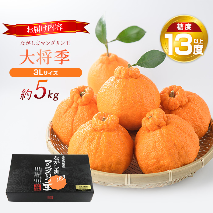 ながしまマンダリン王(大将季) 約5kg【ながしまマンダリングループ】_mandarin-7198