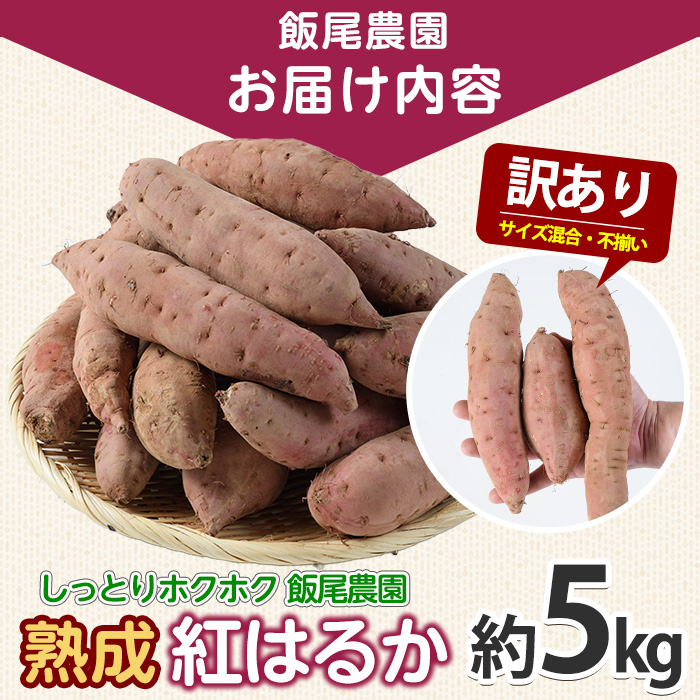 《 訳あり 》飯尾農園 熟成 紅はるか 約5kg 芋 いも さつまいも サツマイモ 鹿児島県産 国産 長島町産 べにはるか 熟成【飯尾農園】_miio-7233