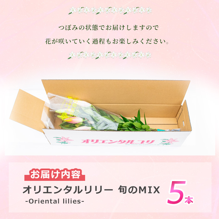 オリエンタルリリー（ユリ）旬のミックス 5本 ユリ 花 ユリの花 百合 ゆり 生花 切花 切り花 【宮路園芸】_miyaji-7004