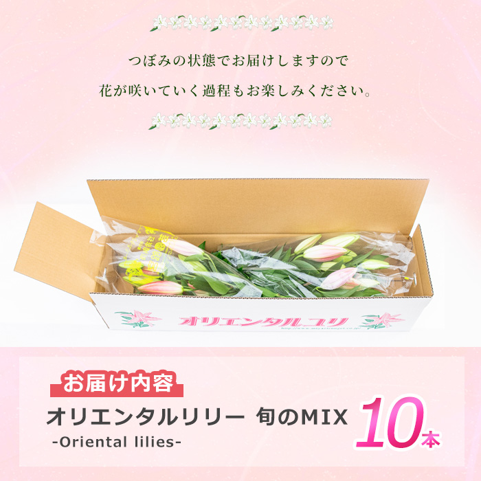 オリエンタルリリー（ユリ）旬のミックス 10本 ユリ 花 ユリの花 百合 ゆり 生花 切花 切り花 【宮路園芸】_miyaji-7005