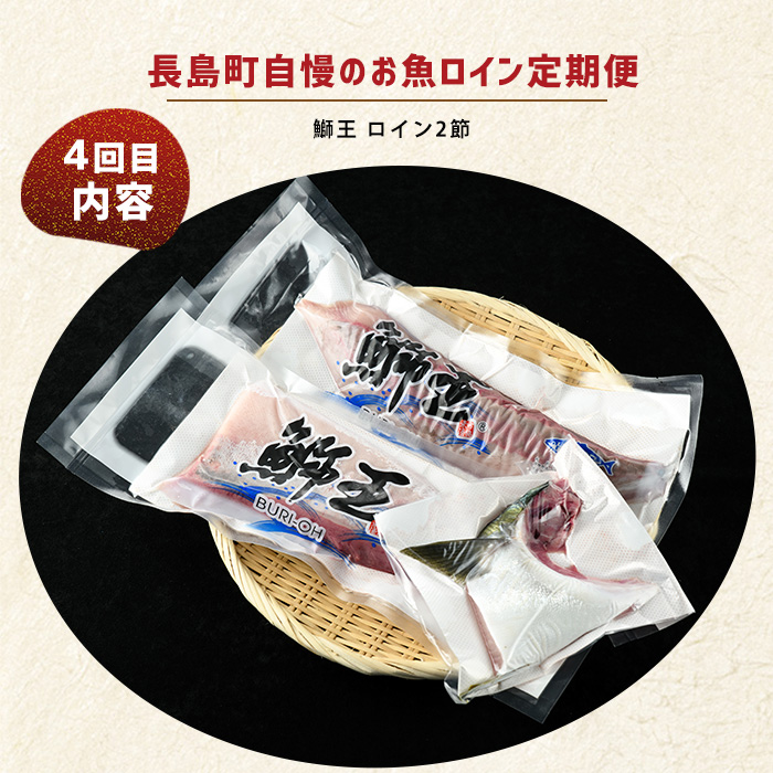 ＜定期便・毎月発送全4回＞ 長島町自慢のお魚定期便(ロイン) 全4回_nagashima-1515