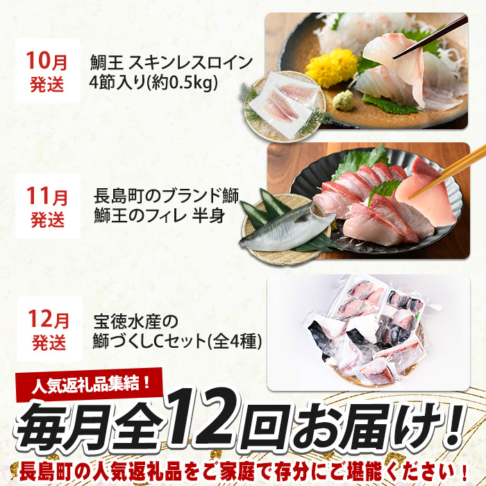 《毎月発送全12回》全事業者 長島町スペシャル定期便 _nagashima-1536