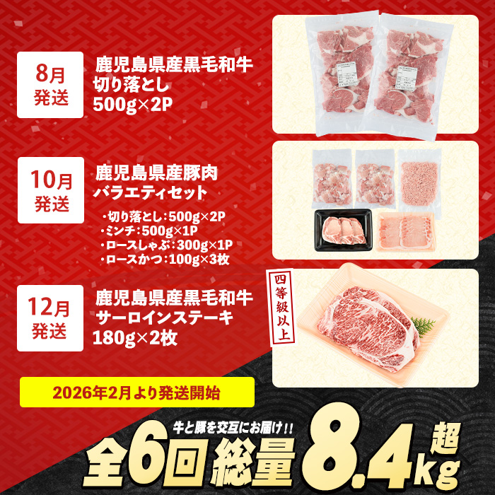 ＜定期便全6回＞黒毛和牛＆豚肉定期便 総重量8.4kg超 赤身 ロース 豚 ミンチ ロースかつ 豚肉 牛肉 切り落とし サーロイン 豚ロース しゃぶしゃぶ すき焼き 【スターゼン】_starzen-1535