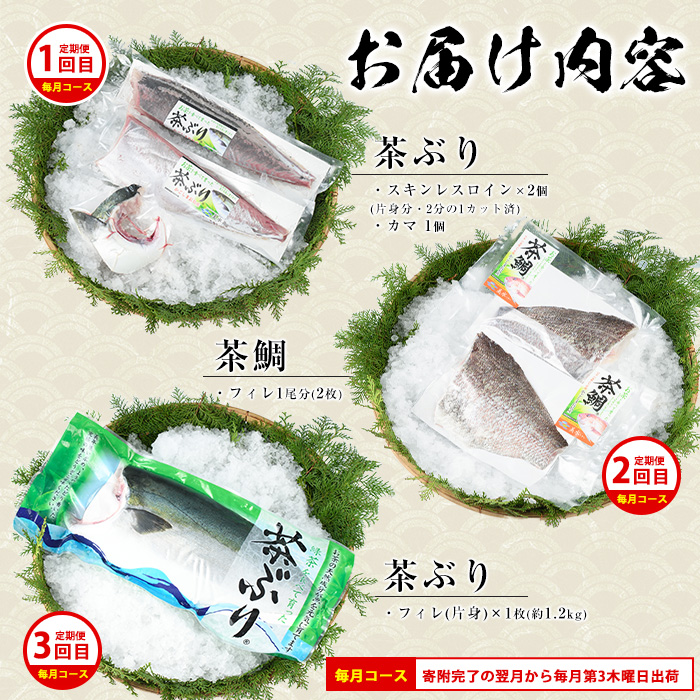 茶ぶり・茶鯛の定期便 毎月 (全3回)  国産 鹿児島県産 ブリ 茶ぶり 鰤 茶鯛 鯛 海鮮 海産物 フィレ 魚介 魚 刺身 海鮮丼 産地直送 定期【ウスイ】_usui-1385A7