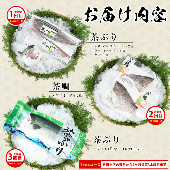 茶ぶり・茶鯛の定期便 2ヶ月毎 (全3回)  国産 鹿児島県産 ブリ 茶ぶり 鰤 茶鯛 鯛 海鮮 海産物 フィレ 魚介 魚 刺身 海鮮丼 産地直送 定期【ウスイ】_usui-1385B7