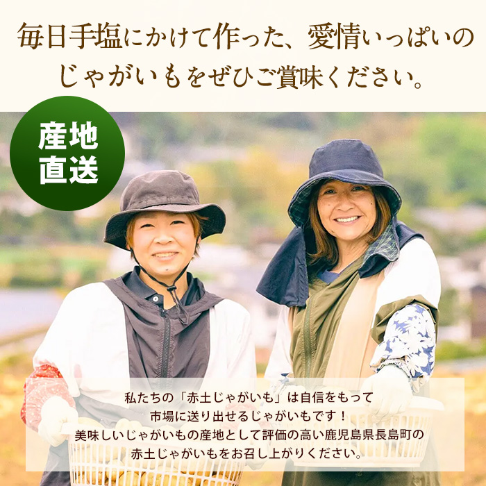 長島のミネラル栽培じゃがいも(計10kg)【エグチベジフル(株)】_eguchi-7019