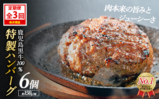 ＜定期便：毎月発送全3回＞鹿児島黒牛特選ハンバーグ(計約900g・約150g×6個)国産 鹿児島 ハンバーグ 冷凍 セット【nixy中山亭】_chuzan-1511